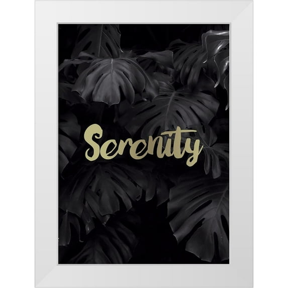 Braun Studio 18x24 White Modern Wood Framed Museum Art Print Titled - Serenity