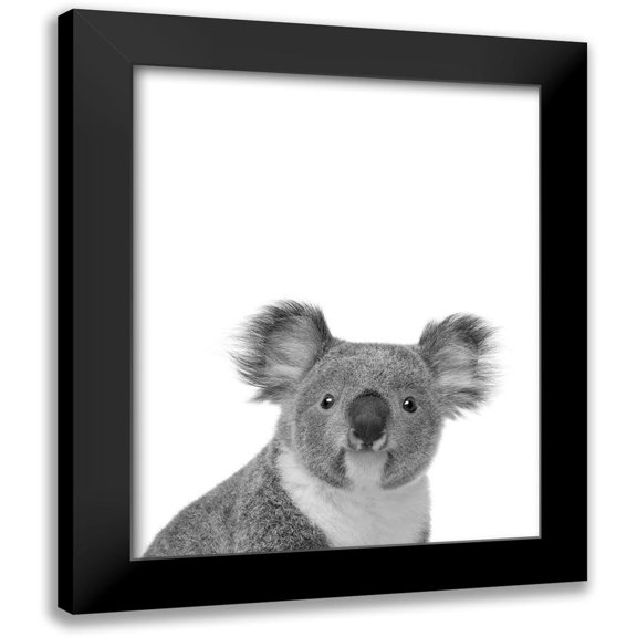 Braun Studio 20x24 Black Modern Framed Museum Art Print Titled - Koala Rigolo