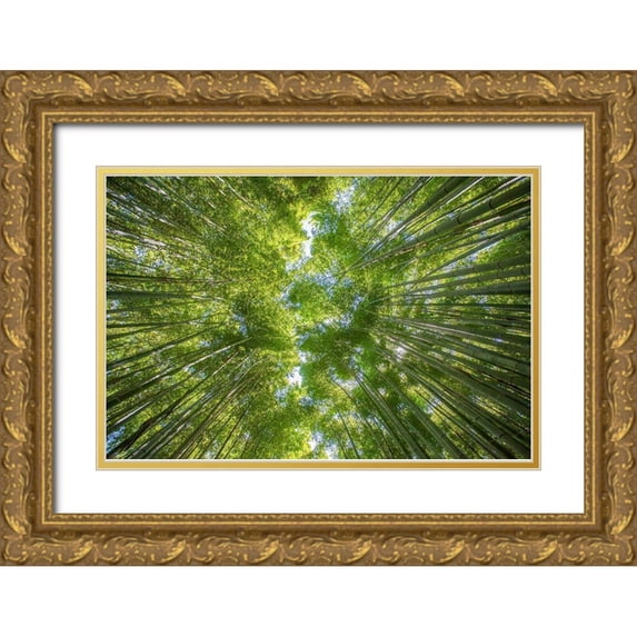 Braun Studio 24x17 Gold Ornate Wood Framed with Double Matting Museum Art Print Titled - Ciel darbres
