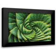 thumbnail image 1 of Braun Studio 24x18 Black Modern Framed Museum Art Print Titled - Vert de cactus, 1 of 5