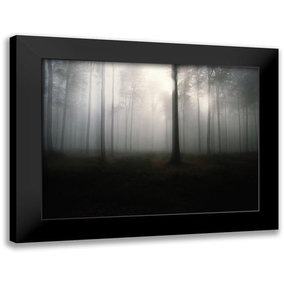 Braun Studio 24x19 Black Modern Framed Museum Art Print Titled - Brouillard de forêt