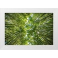 thumbnail image 1 of Braun Studio 32x23 White Modern Wood Framed Museum Art Print Titled - Ciel darbres, 1 of 4