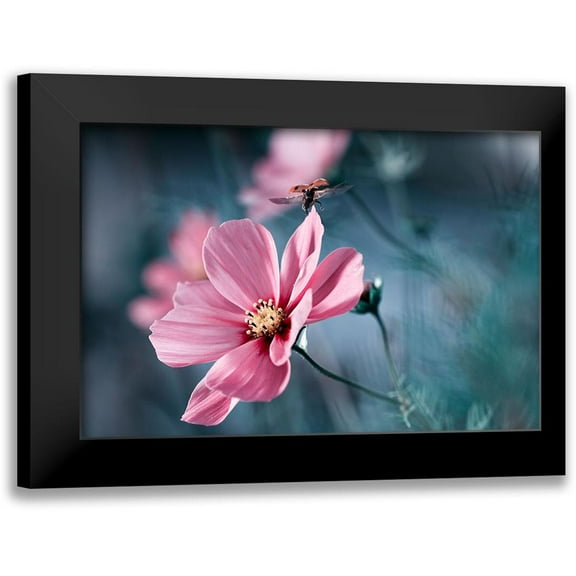 Bravin, Fabien 14x11 Black Modern Framed Museum Art Print Titled - Clair De Terre