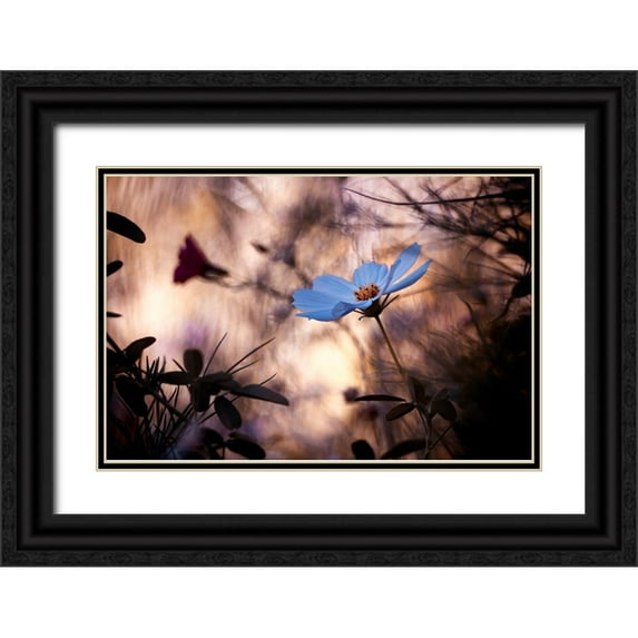 Bravin, Fabien 14x11 Black Ornate Wood Framed with Double Matting Museum Art Print Titled - Lindiffacrence