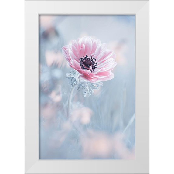 Bravin, Fabien 17x24 White Modern Wood Framed Museum Art Print Titled - La Reine De Neiges