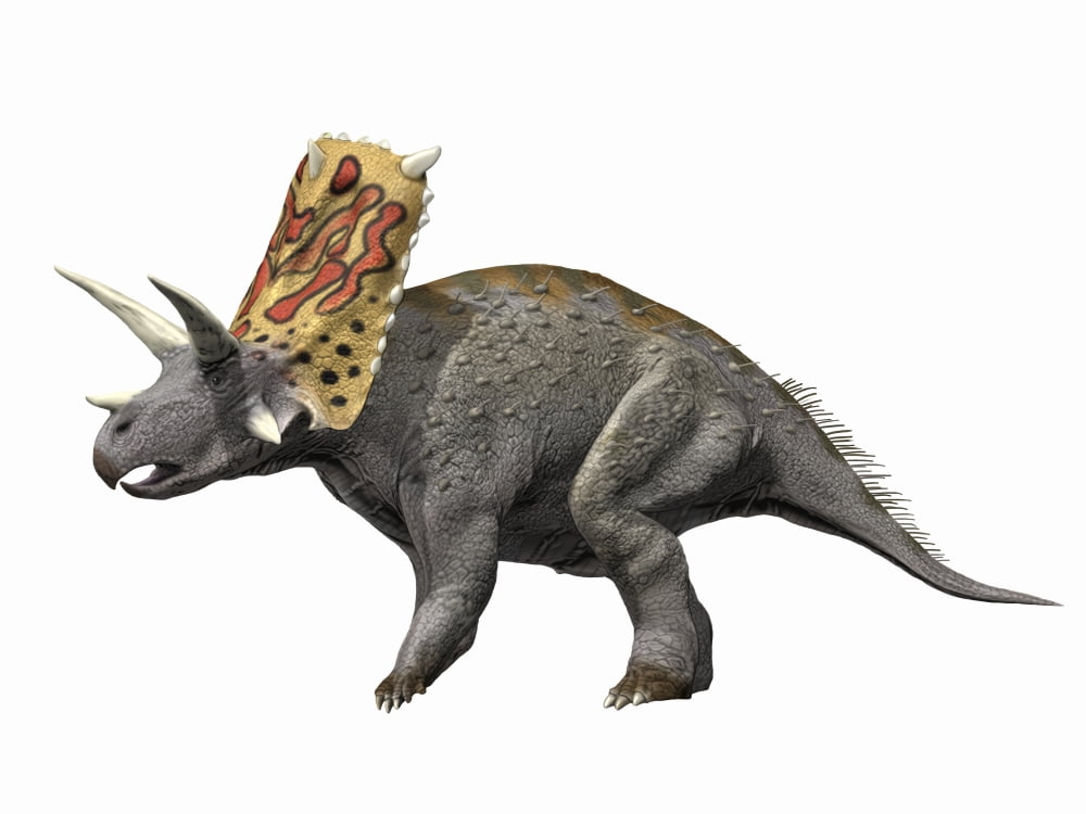 Bravoceratops polyphemus Late Cretaceous of Texas Canvas Art - Nobumichi TamuraStocktrek Images (33 x 25)