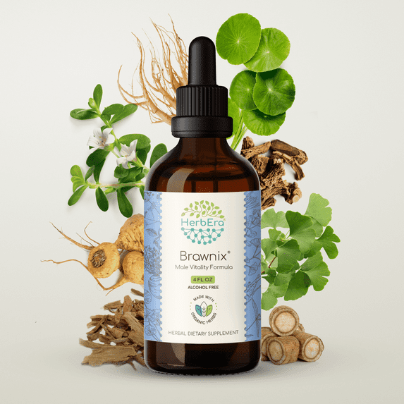 HerbEra Brawnix Extract, Dietary Supplement Herbal Formula, Made from Chinese Boxthorn, Korean Red Ginseng, Maca, Sarsaparilla, Suma, Brahmi, Gotu Kola, Ginkgo Biloba 4 oz