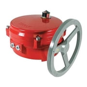 Bray Butterfly Valve, 120V, 8 in. 70E201-113DA536/K