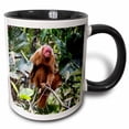 thumbnail image 1 of 3drose, Brazil, Amazon, Manaus, Portrait of a Bald Uakari Monkey in the Trees., 15oz Two-tone Black Mug, 1 of 6