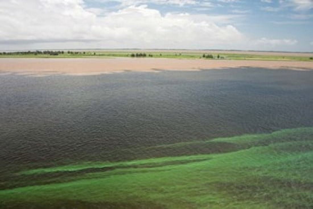 Brazil Amazon River Santarem Meeting of the Waters Algae bloom Canvas Art - Cindy Miller Hopkins DanitaDelimont (18 x 12)
