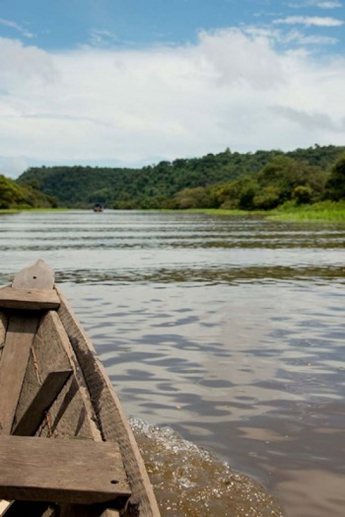 Brazil Amazon Valeria River Boca da Valeria Local wooden canoe Canvas Art - Cindy Miller Hopkins DanitaDelimont (18 x 24)