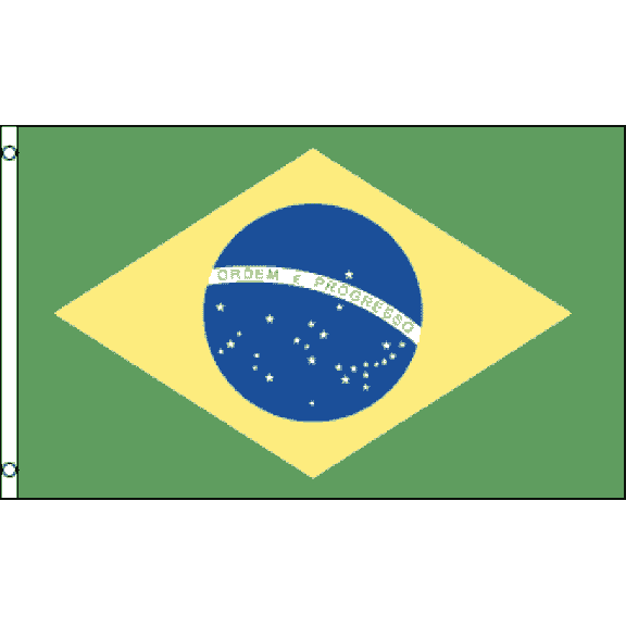 Briarwood Lane Brazil 3' x 5' Grommet Flag