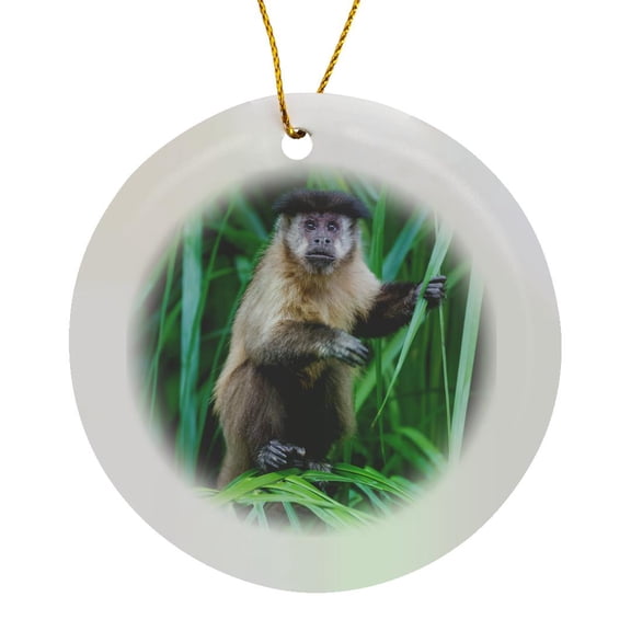 3drose, Brazil, Mato Grosso Do Sul, Bonito. Brown Capuchin Monkey in Tree, Circle Porcelain Ornament