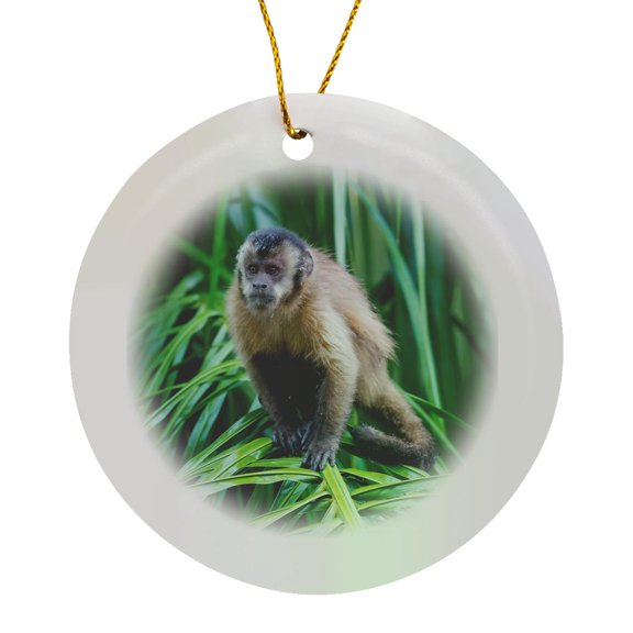 3drose, Brazil, Mato Grosso Do Sul, Bonito. Portrait of Brown Capuchin Monkey., Circle Porcelain Ornament