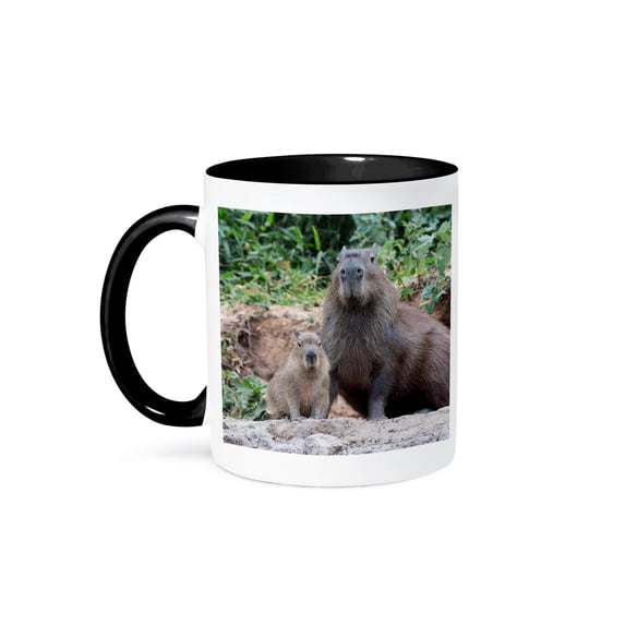 3dRose, Brazil, Mato Grosso, The Pantanal. Capybara with its young., 11oz Two-Tone Black Mug