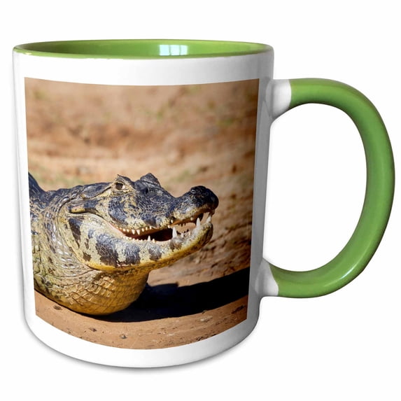 3drose, Brazil, Mato Grosso, the Pantanal, Rio Cuiaba, Black Caiman., 15oz Two-tone Green Mug