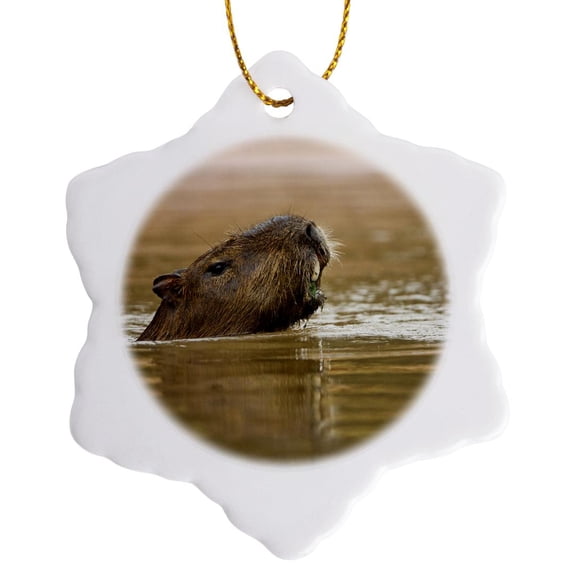3drose, Brazil, Matto Grosso. Capybara Wildlife - Sa04 Jmc0046 - Joe and Mary Ann Mcdonald, 3 inch Snowflake Porcelain Ornament