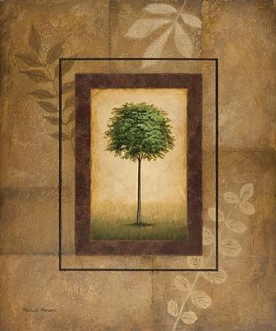 Brazil Nut Tree Canvas Art - Michael Marcon (20 x 24)