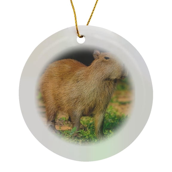 3drose, Brazil, Pantanal a Capybara Walking Proudly., Circle Porcelain Ornament