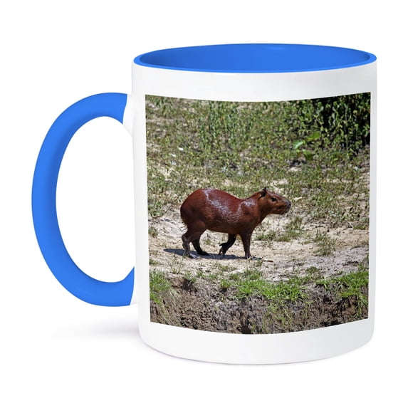 3dRose, Brazil, Pantanal, Capybara wildlife - SA04 KWI0064 - Kymri Wilt, 15oz Two-Tone Blue Mug