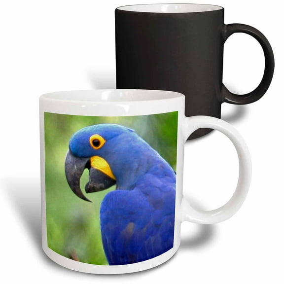 3drose, Brazil, Pantanal, Endangered Hyacinth Macaw, Birds - Sa04 Kwi0095 - Kymri Wilt, 11oz Magic Transforming Mug