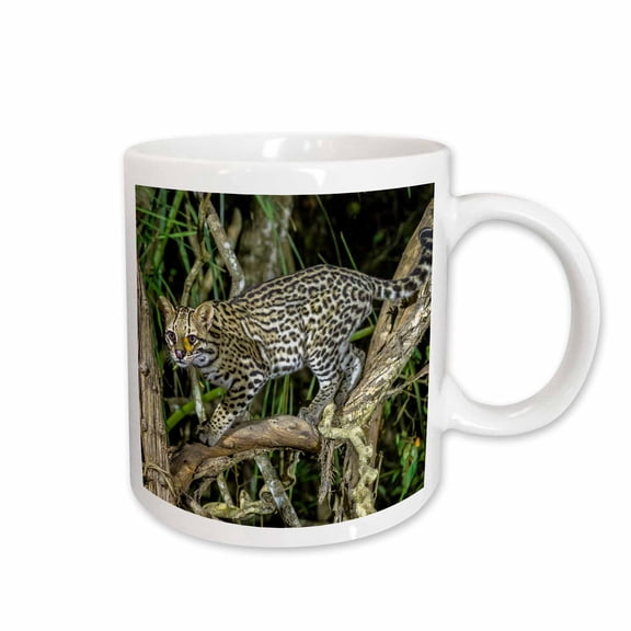 3drose, Brazil, Pantanal. Ocelot on Tree Branch., 11oz Mug