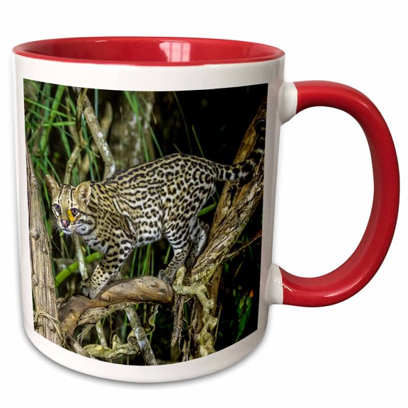 3drose, Brazil, Pantanal. Ocelot on Tree Branch., 11oz Two-tone Red Mug