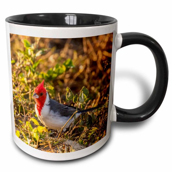 3drose, Brazil, Pantanal. Red-crested Cardinal, 11oz Two-tone Black Mug