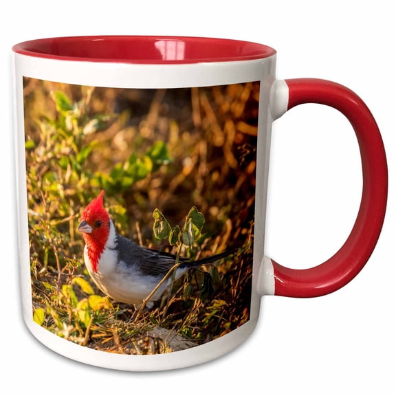 3drose, Brazil, Pantanal. Red-crested Cardinal, 11oz Two-tone Red Mug