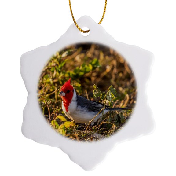 3drose, Brazil, Pantanal. Red-crested Cardinal, 3 inch Snowflake Porcelain Ornament