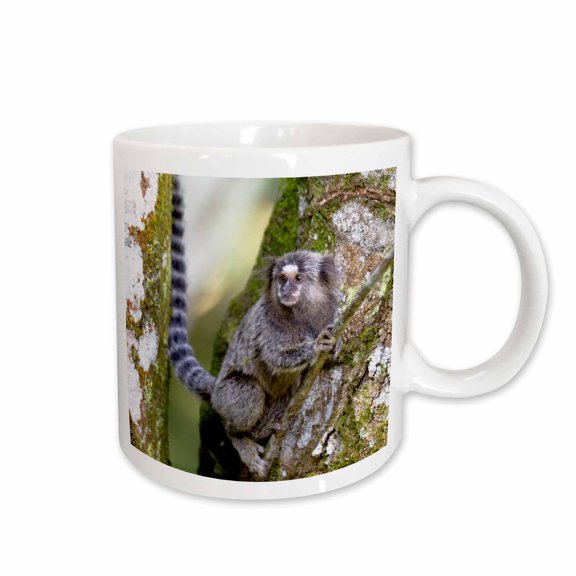 3drose, Brazil, State of Sao Paulo, Sao Paulo. Common Marmosets in the Trees., 11oz Mug