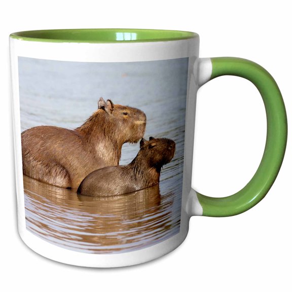 3drose, Brazil, the Pantanal, Adult Capybara and Young in the Rio Cuiaba., 15oz Two-tone Green Mug