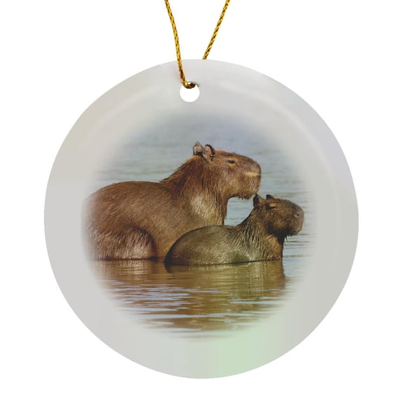 3drose, Brazil, the Pantanal, Adult Capybara and Young in the Rio Cuiaba., Circle Porcelain Ornament