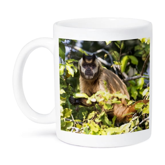 3drose, Brazil, the Pantanal, Brown Capuchin Monkey Eating Fruit in a Tree., 11oz Mug