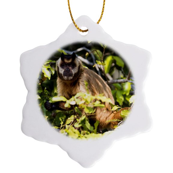 3drose, Brazil, the Pantanal, Brown Capuchin Monkey Eating Fruit in a Tree., 3 inch Snowflake Porcelain Ornament