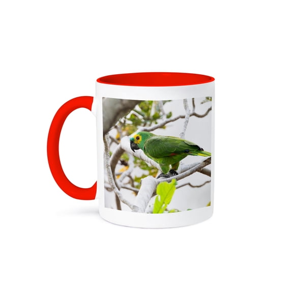3dRose, Brazil, The Pantanal, turquoise-fronted amazon perched in a tree., 15oz Two-Tone Red Mug