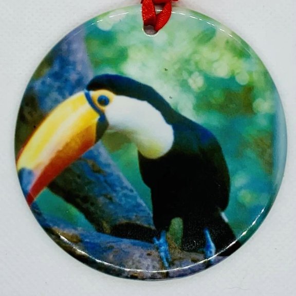 Brazil Toucan Christmas Tree Ornament Porcelain Round Wildlife Bird Lover Gifts 2D FLAT CIRCLE Ceramic Ornament