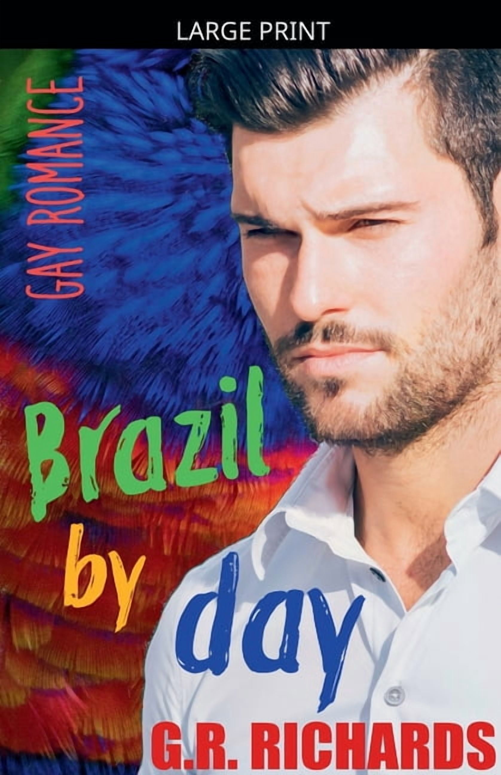 Brazil by Day: Gay Romance, (Paperback)