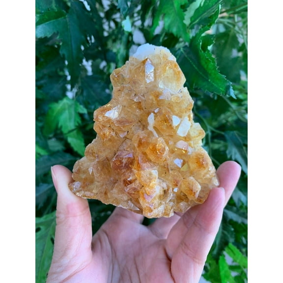 Brazilian Citrine Clusters With Cut / Flat Base, Honey Citrine Quartz Cluster, Citrine Cathedral, Money Stone, Success Stone (0.5-1 lb)