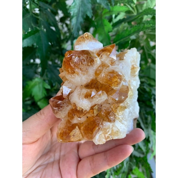 Brazilian Citrine Clusters With Cut / Flat Base, Honey Citrine Quartz Cluster, Citrine Cathedral, Money Stone, Success Stone (1-2 lb)