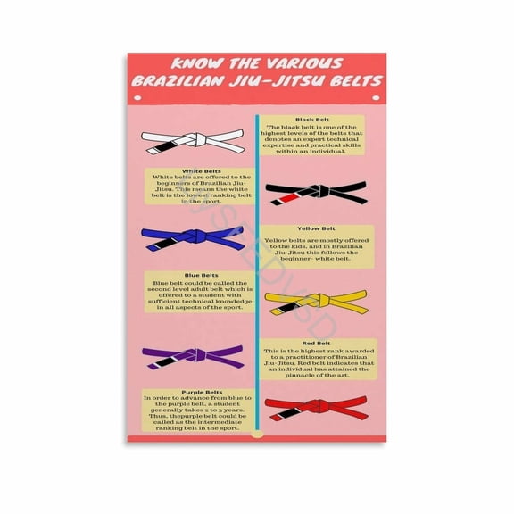 Brazilian Jiu-Jitsu Belt Rank Guide Poster (2) Canvas Painting Wall Art