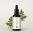 thumbnail image 1 of HerbEra Brazilian Peppertree Tincture, Organic Herbal Dietary Supplement for Immune Support, Certified Organic Pink Peppercorn (Schinus terebinthifolius) Dried Fruit, Natural, Alcohol-Free, 2 oz, 1 of 7
