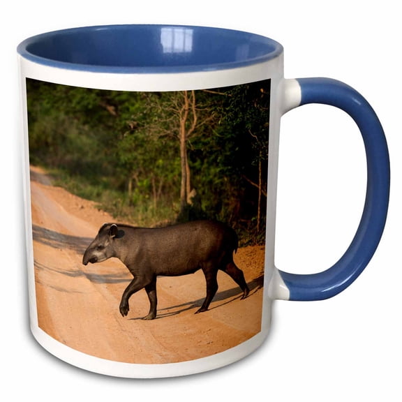 3drose, Brazilian Tapir, Pantanal, Mato Grosso, Brazil, 11oz Two-tone Blue Mug