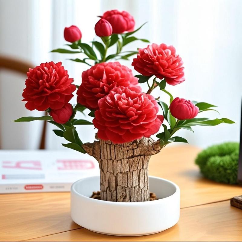 Brazilian Wood Feng Shui Indoor Plant Enhancing Health, Luck, and Success, Natural Air Purifier Boosting Positive Energy Flow, Perfect for Home or Office Décor, Low-Maintenance Stylish Greenery