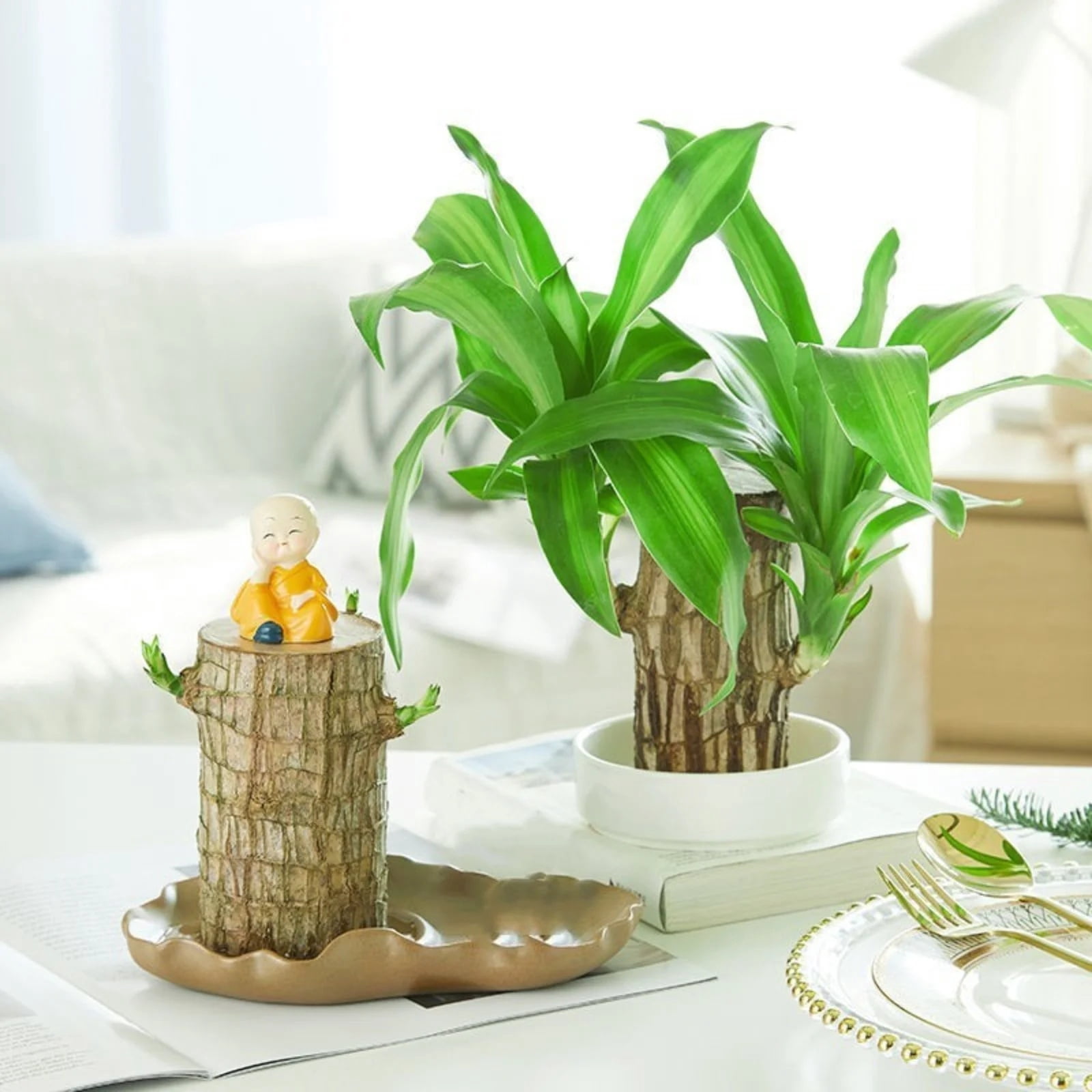 indoor plant growing kit Green Our Planet Home Garden Starter Kit