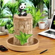 Brazilian Wood Plant,Easy Grow Lucky Wood Plant,Easy Care Brazilian Wood Hydroponic Plant,Brazilian Wood Money Tree, Brazilian Lucky Wood Housewarming Gift for New Home,Office(Wood+Panda Statue+Tray)