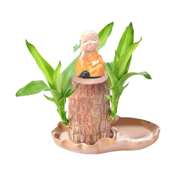 Brazilian Wood Set, 2025 New Brazilian Wood with Monk Statue, Brazilian Wood Hydroponic , Brazilian Tree, Mini Brazil Wood Decorations for Pots, Home Decor, Gift