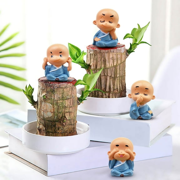 Brazilian Wood Plant Set, Brazilian Lucky Wood Plant, Brazilian Wood Hydroponic Plant, Brazilian Lucky Tree, Mini Brazil Wood Plant Decorations for Pots (Monk-4)