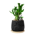 thumbnail image 1 of Brazilian lucky wood desktop ornament, with tray and small figurine, a small desktop decoration., 1 of 6