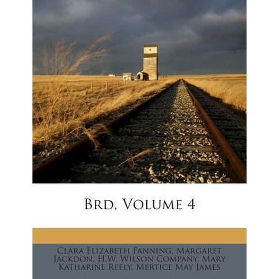 Brd, Volume 4 Paperback